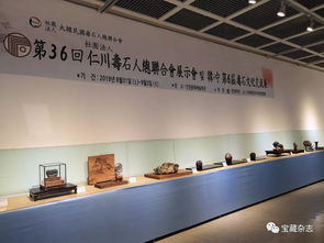 以石為媒，跨越山海 青島民間賞石藝術開啟跨國交流新篇章