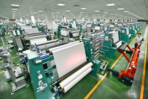 畝均論英雄 增聚開發(fā)區(qū)與高橋街道高質(zhì)量發(fā)展動(dòng)能的社會(huì)經(jīng)濟(jì)咨詢服務(wù)路徑探索